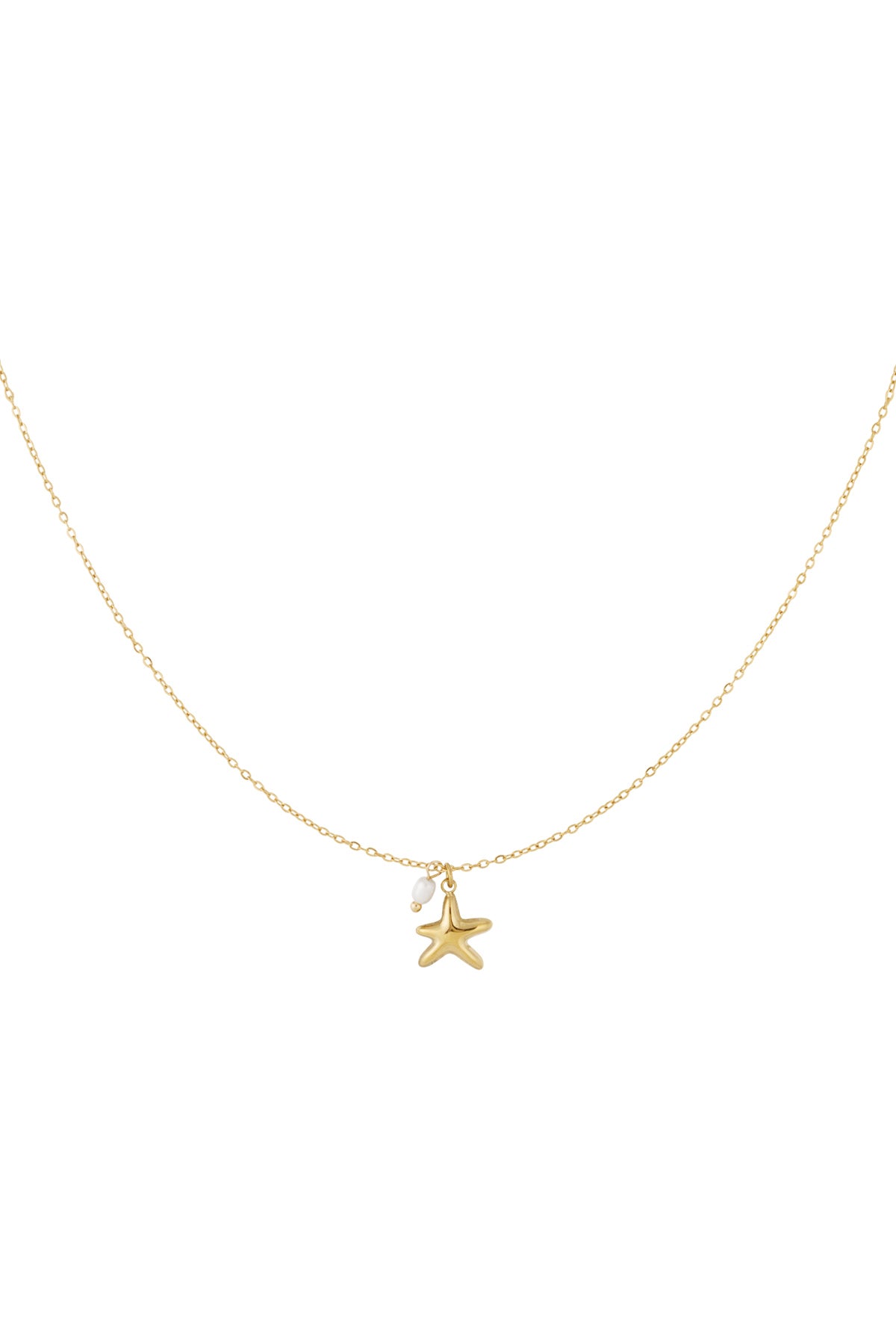 Collier étoile de mer