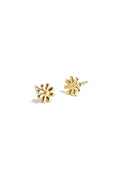 Boucles d'oreilles Diasy - 9065