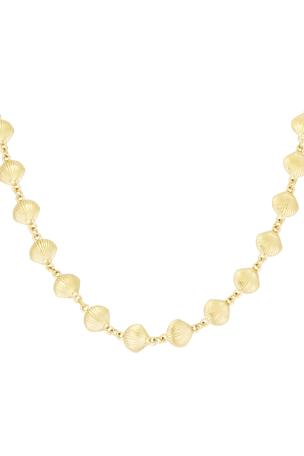 collier coquillage trio