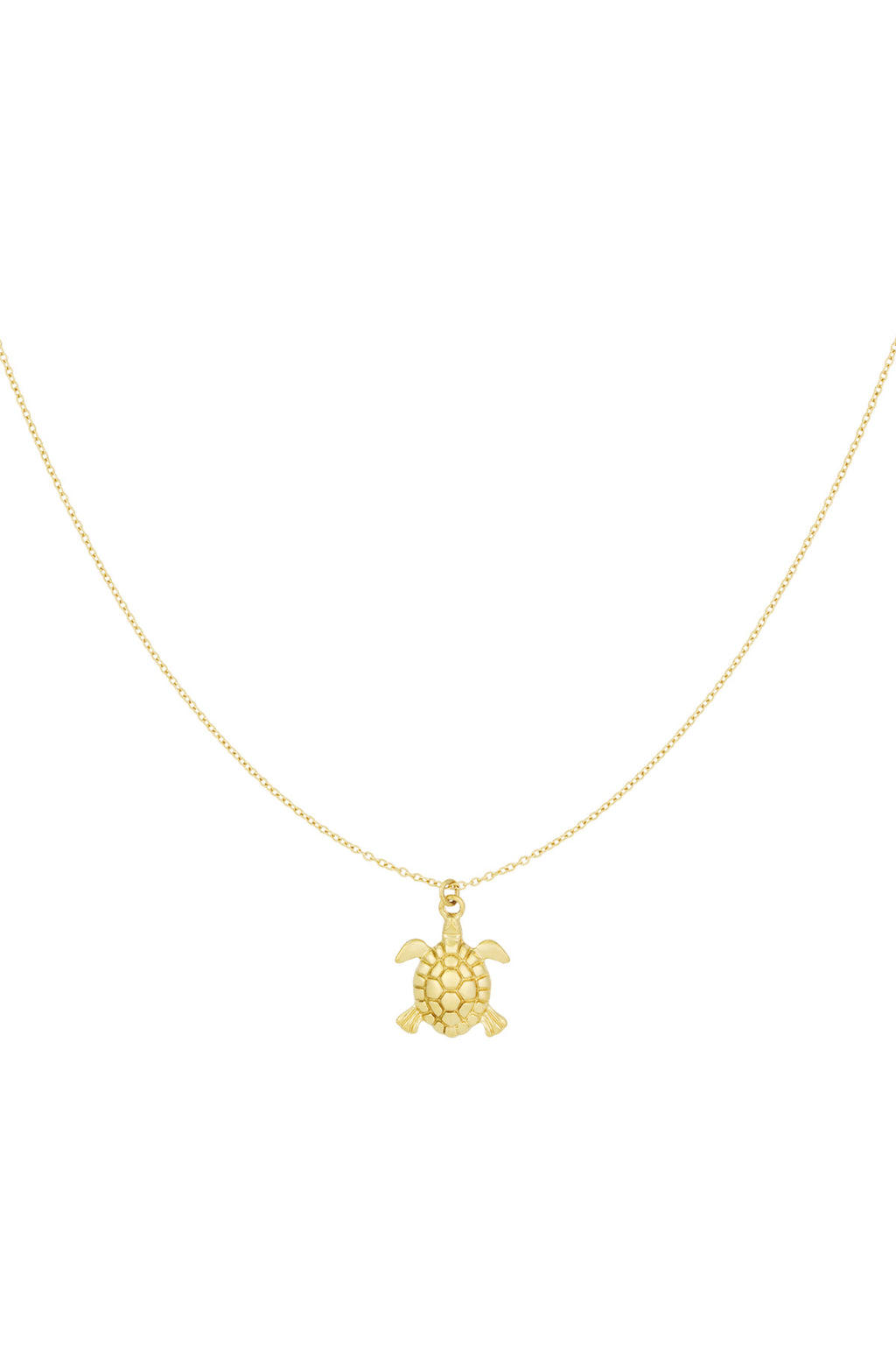 collier tortue marées