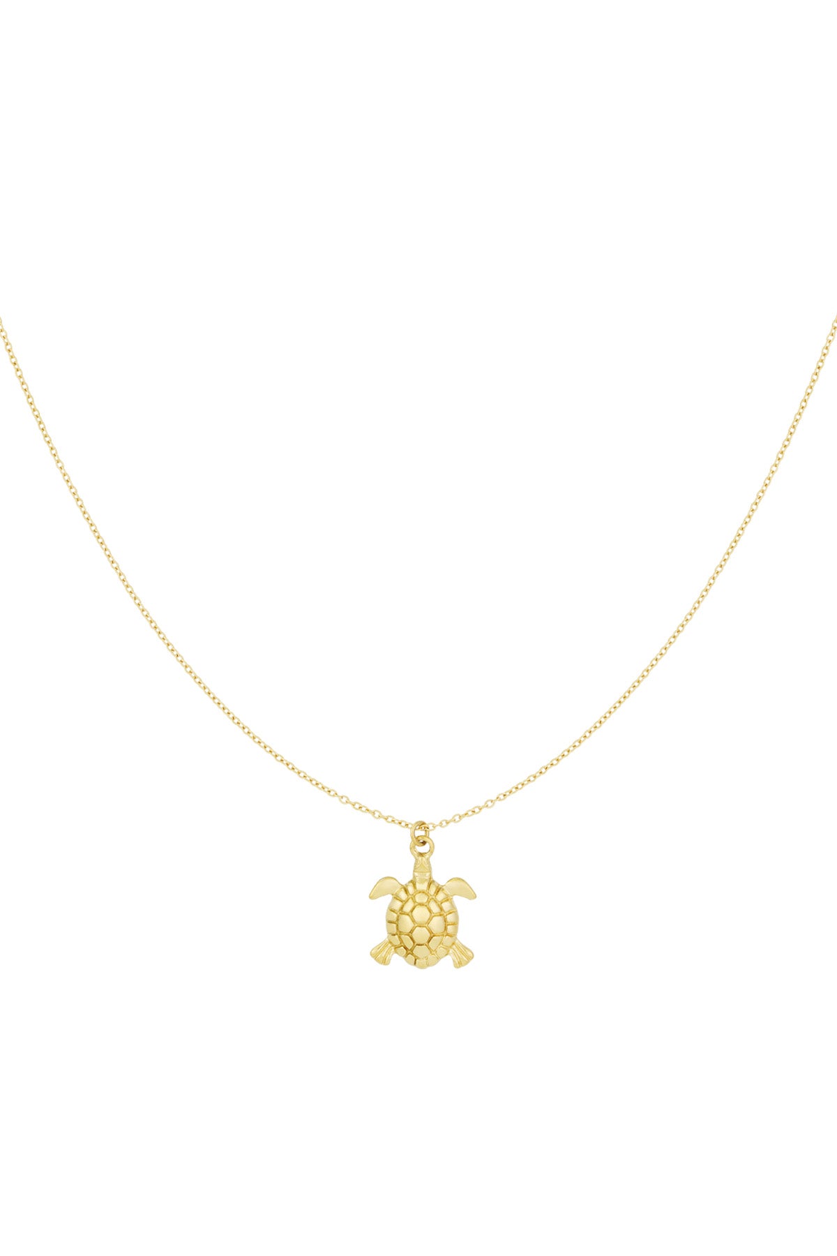 collier tortue marées