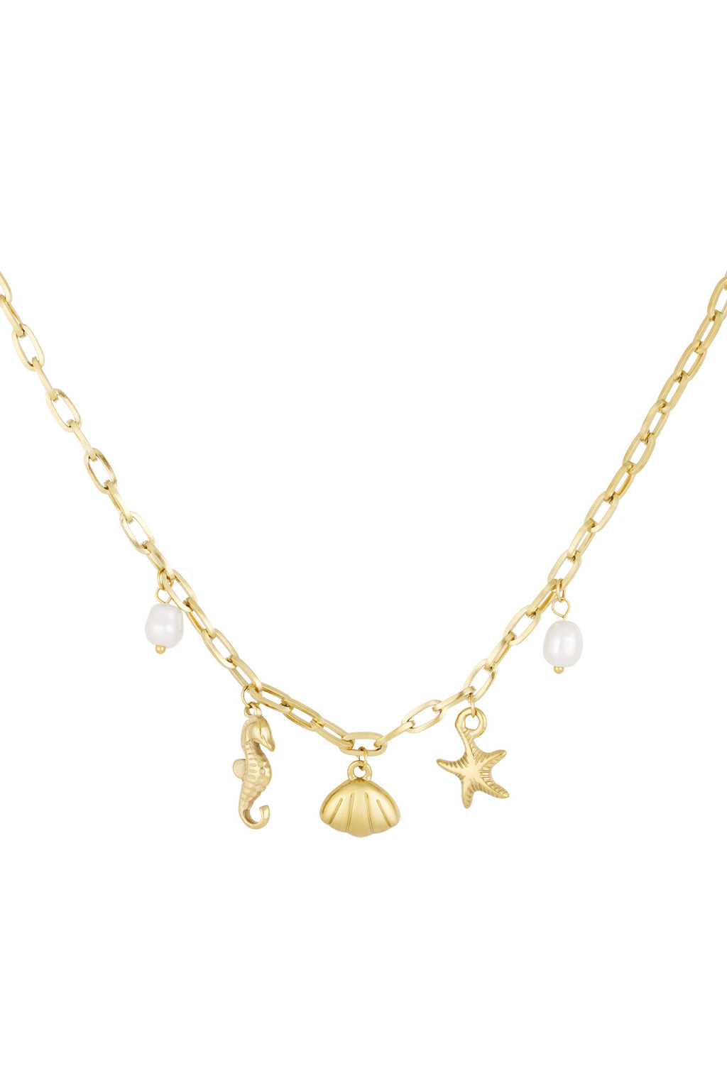 collier hippocampe