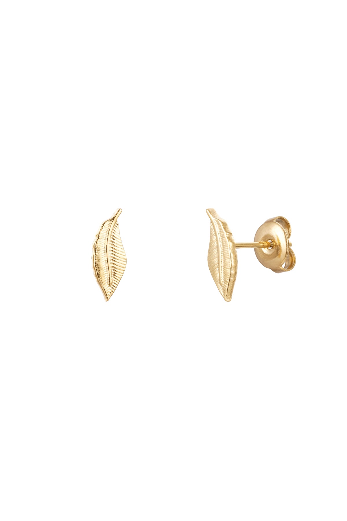 Clous d'oreilles Plume -13630