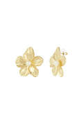 Boucles d'oreilles en perles hawaïennes 17785