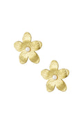 Boucles d'oreilles Blossom Burst - 17559