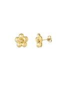 Boucles d'oreilles Pois Marguerites -18255