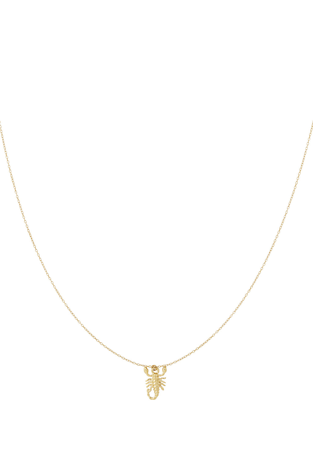 Collier Esprit Scorpion