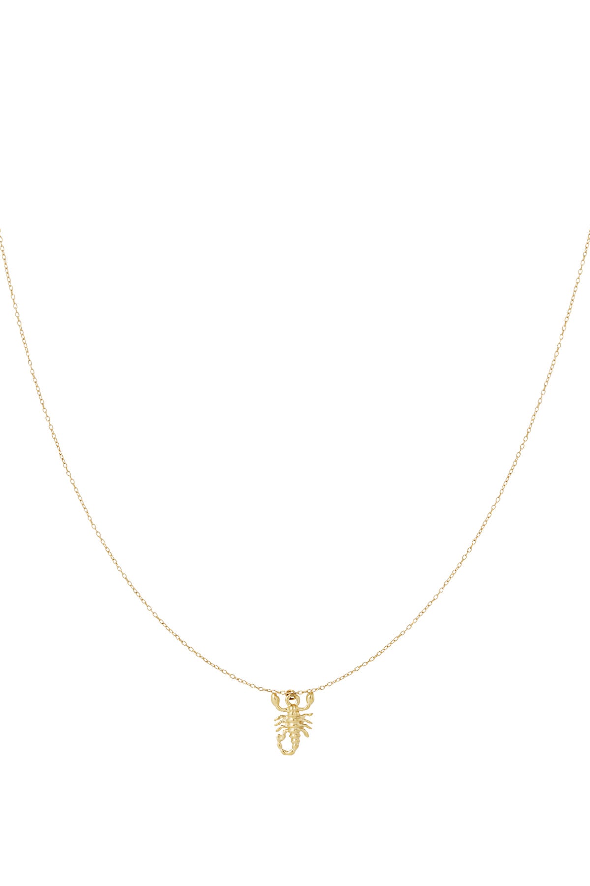 Collier Esprit Scorpion