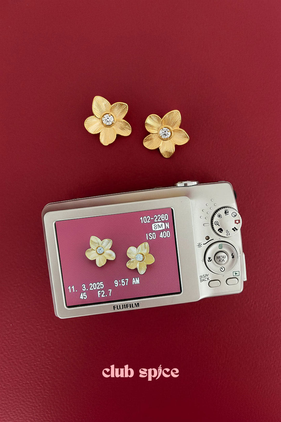 Boucles d'oreilles Puces 62703